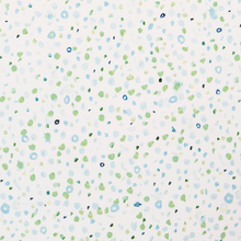 Load image into Gallery viewer, The Dots Went Crazy Custom Fabric by Megan Daisy Milner – Linen & Performance Fabric