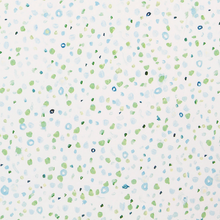 Load image into Gallery viewer, The Dots Went Crazy- Fabric

